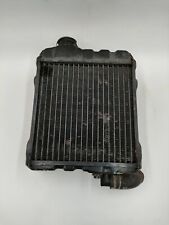 Radiatore raffreddamento honda usato  Lamezia Terme