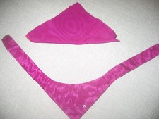 Set einstecktuch dreiecksbinde gebraucht kaufen  Untereisesheim