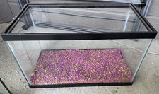 Pick gallon fish for sale  Boise