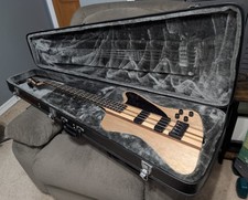 Epiphone thunderbird pro for sale  Deland