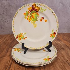 Grindley creampetal bundarra for sale  ROYSTON