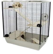 Hamster mouse rat for sale  WIRRAL