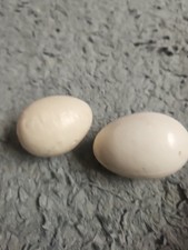 Caperns one ceramic for sale  REDRUTH