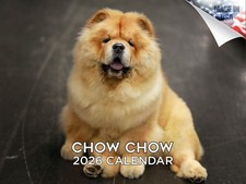 Chow chow dog for sale  Traverse City
