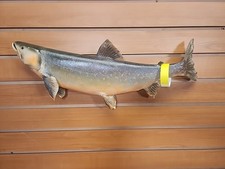 Jbh20 trout fish for sale  Hill City