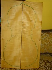 Tonholz tonewood interessanter gebraucht kaufen  Deutschland