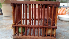 Cage bois appeaux d'occasion  France