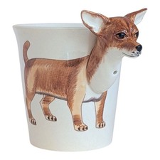 white brown chihuahua for sale  Norwich