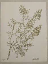 Lithographie lagerstromia bern d'occasion  Mezzavia