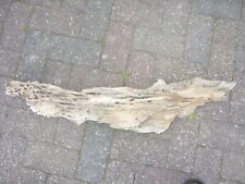 Large driftwood for sale  IPSWICH