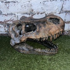 Nemesis tyrannosaurus rex for sale  HEYWOOD