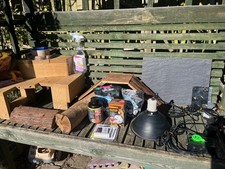 bearded dragon set up for sale  LONDON