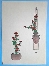Ikebana chrysanthemum japanese for sale  OSWESTRY