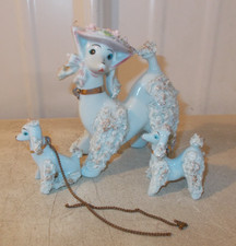 poodle puppies for sale  Lexington