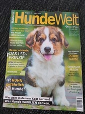 Hundewelt märz 2023 gebraucht kaufen  Langballig