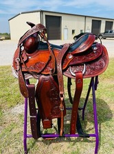 Adult argentinian western for sale  Aubrey