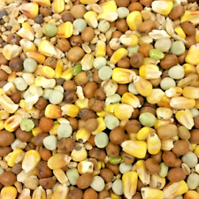 Pigeon mix bestpets for sale  TONBRIDGE