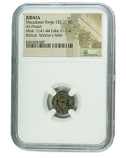 Rara acaro della usato  Spedire a Italy