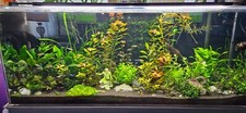 Custom 120 gallon for sale  Bradenton
