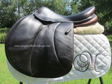 17.5 voltaire palm for sale  Saint Augustine