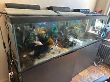 100 gallon fish for sale  Brooklyn