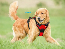 Harnais grand chien d'occasion  Les Andelys