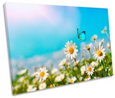 canvas daisy for sale  UK