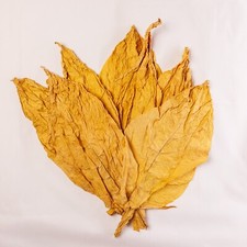 Virginia gold tabakblätter gebraucht kaufen  Hoyerswerda