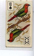 Players overseas birds for sale  WITHERNSEA