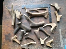 Large stag antler for sale  EDINBURGH