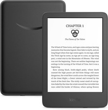 AMAZON KINDLE EREADER 16GB AGORA 11ª geração 6" tela luz embutida wi-fi  comprar usado  Enviando para Brazil