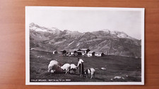 Motta alta valle usato  Milano