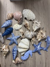 Mixed sea shells for sale Mixed sea shells for sale  CHESTER