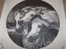 Three horse black for sale  Holiday