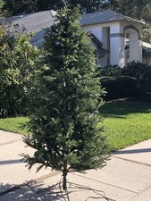 Ultra lush traditional for sale  Tampa