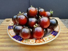 Micro dwarf tomato for sale  DORCHESTER