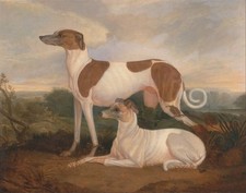  Pintura a óleo perfeita 36x24 pintada à mão em tela "dois cães" @N189, usado comprar usado  Enviando para Brazil