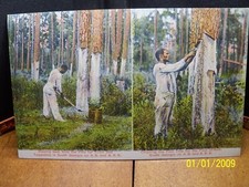 1910 20s african for sale  Blacksburg