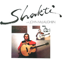 Shakti with john gebraucht kaufen  Steinfurt