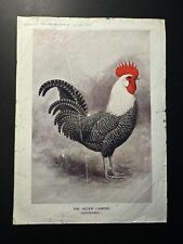 Vintage poultry supplement for sale  NORTHAMPTON