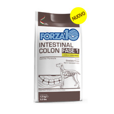 Intestinal colon fase usato  Carate Brianza
