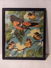 vintage framed bird prints for sale vintage framed bird prints for sale Raleigh