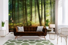 Living room photo for sale  MELKSHAM