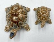 Miniature tortoises turtles for sale  Valrico