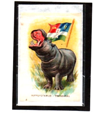 Animals flag odd for sale  NOTTINGHAM