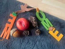 Apfel deko herbst gebraucht kaufen Apfel deko herbst gebraucht kaufen  Beverungen