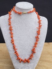 live coral for sale  NORWICH