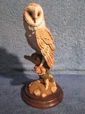 barn owl for sale barn owl for sale TAUNTON