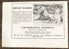 1937 cairndania kennels for sale  Thomaston