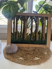 Rainbow eucalyptus maui for sale  Kihei